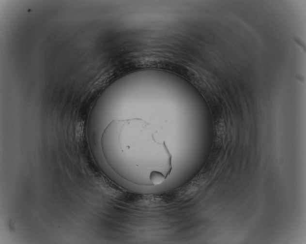 X0000091660278200709131515