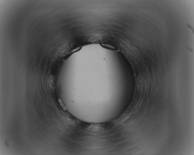 X0000091660280200709131515