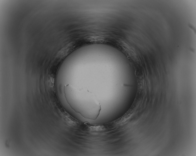 X0000091660281200709131515