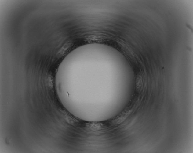 X0000091660282200709131515