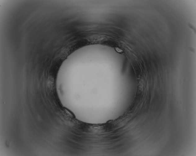 X0000091660283200709131515