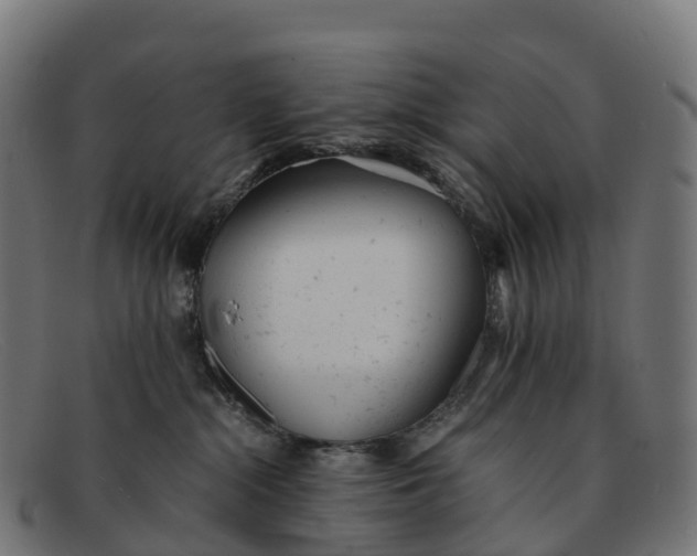 X0000091660284200709131515