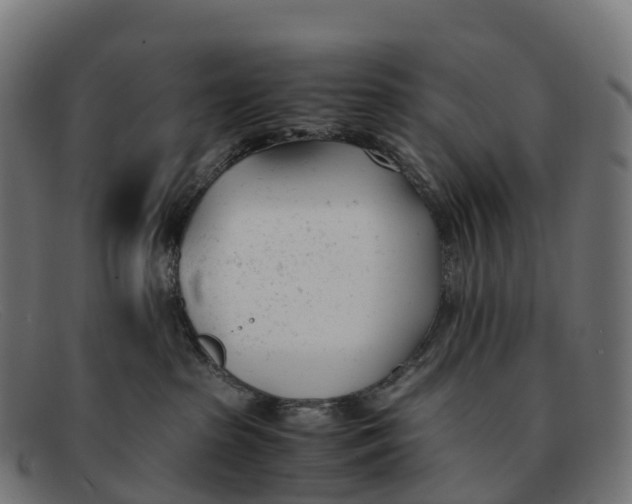 X0000091660285200709131515