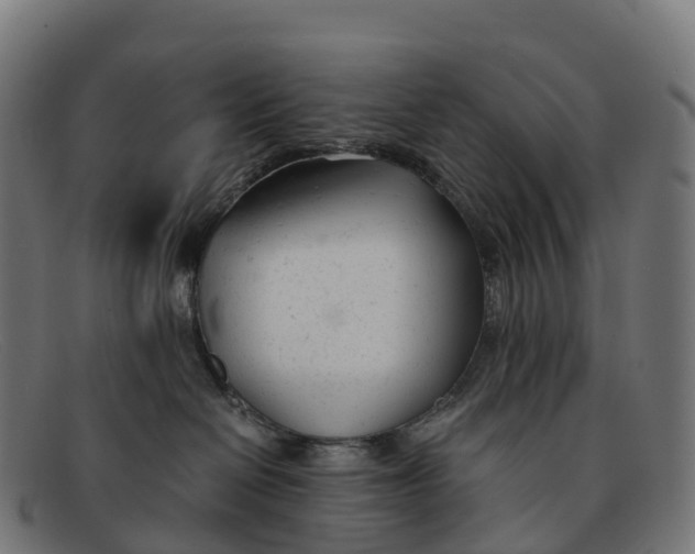 X0000091660286200709131515