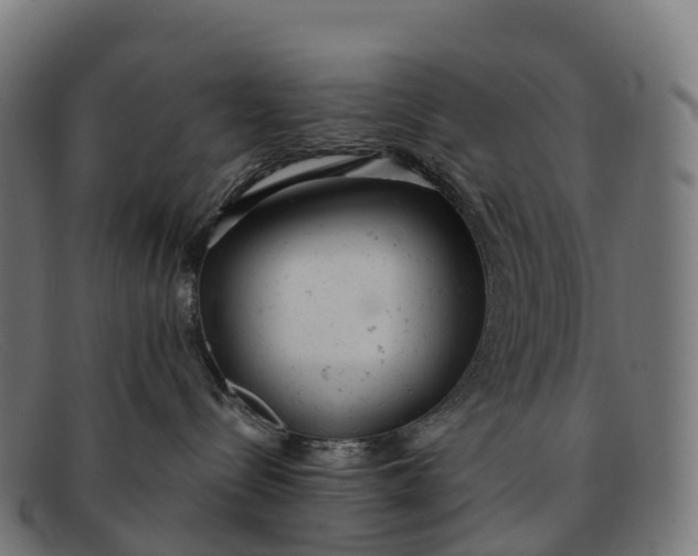 X0000091660288200709131515