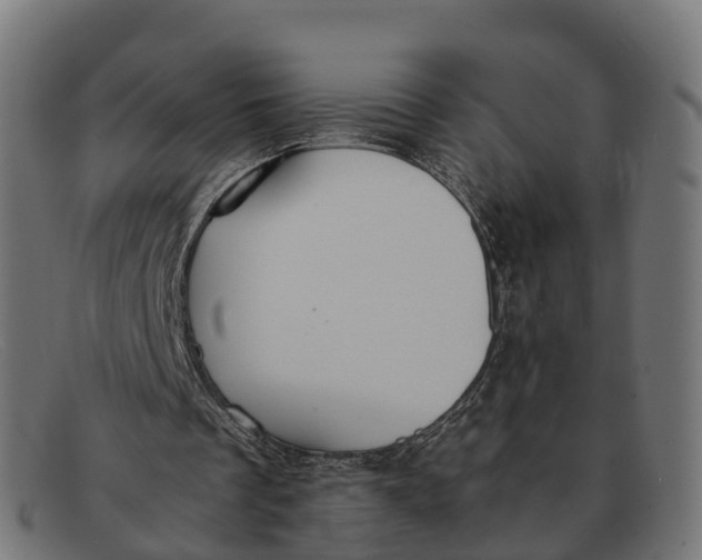 X0000091660289200709131515