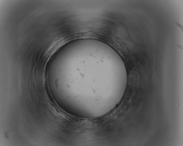 X0000091660290200709131515