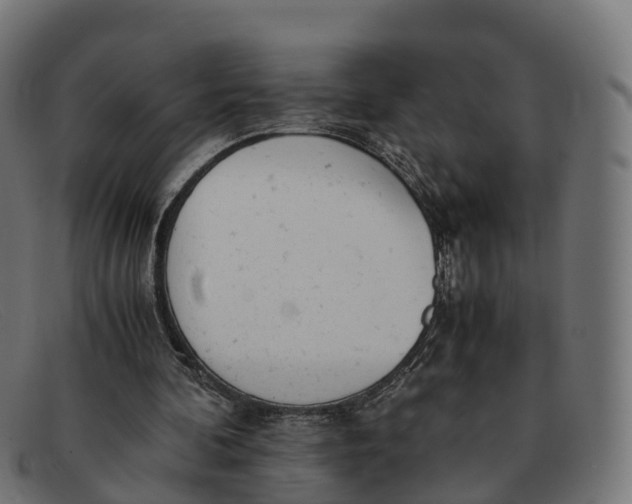 X0000091660292200709131515