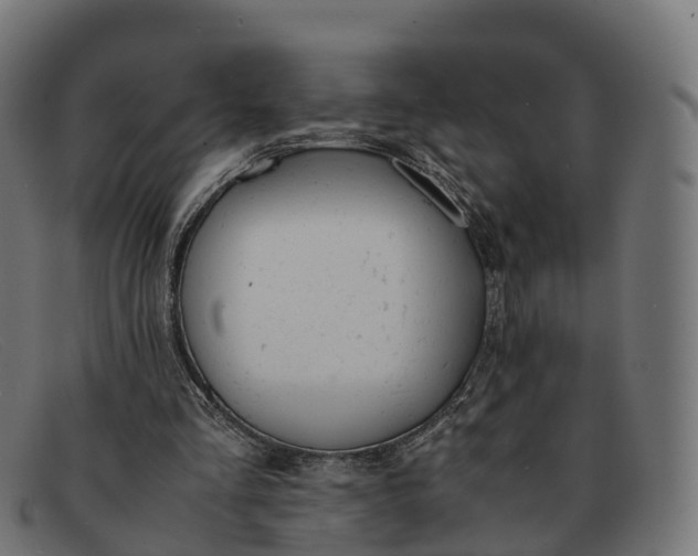 X0000091660293200709131515