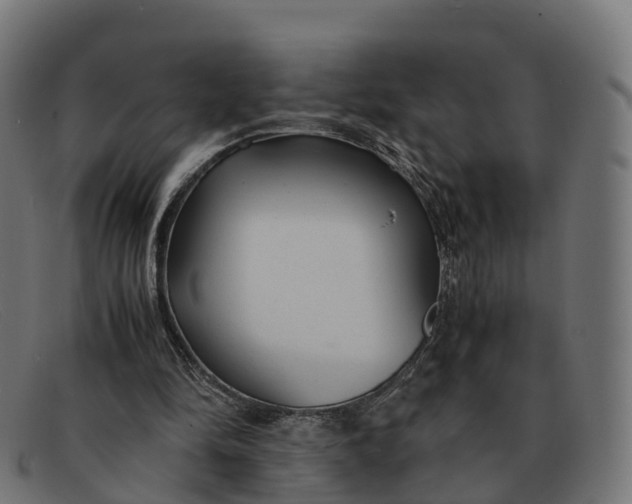 X0000091660294200709131515