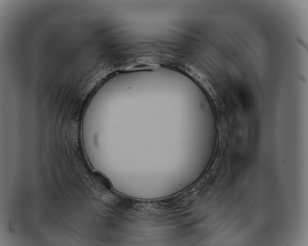 X0000091660297200709131515