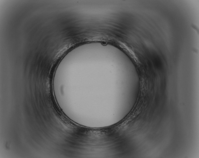 X0000091660298200709131515