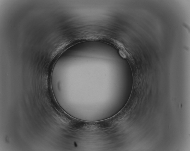 X0000091660299200709131515