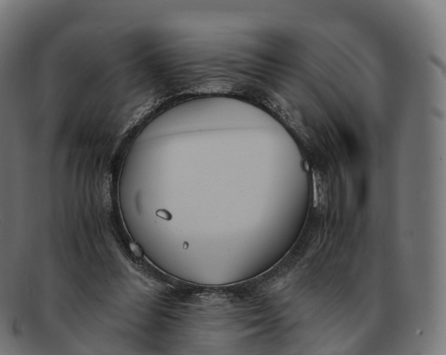 X0000091660300200709131515