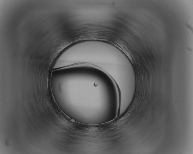 X0000091660301200709131515