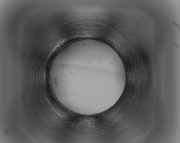 X0000091660304200709131515