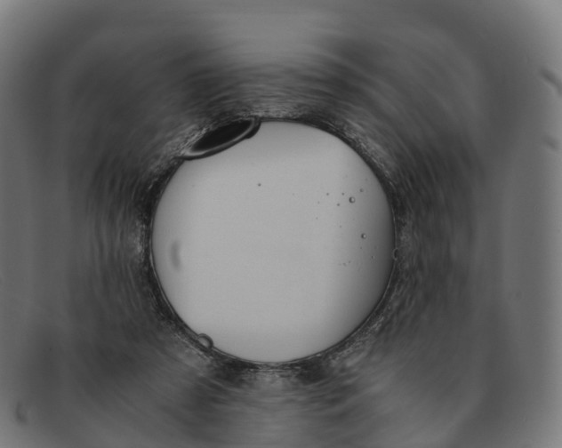 X0000091660305200709131515