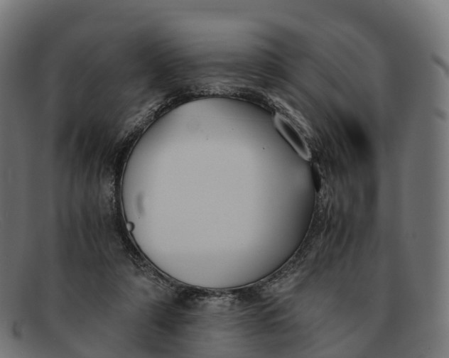 X0000091660306200709131515