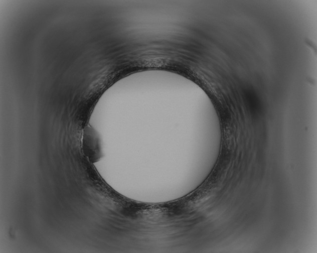 X0000091660307200709131515