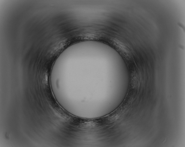 X0000091660310200709131515