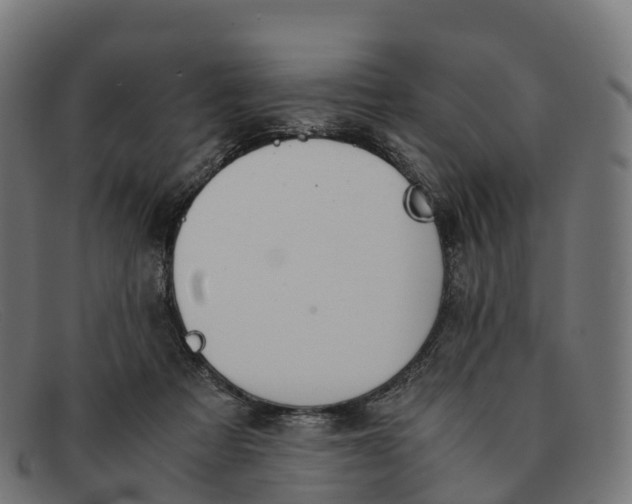 X0000091660313200709131515