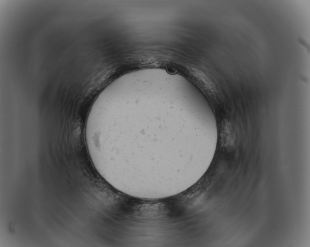 X0000091660314200709131515