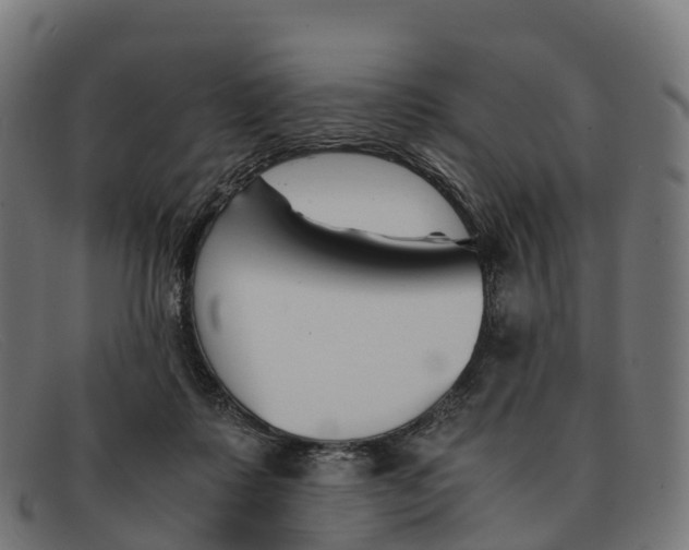 X0000091660315200709131515