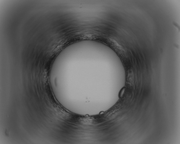 X0000091660318200709131515