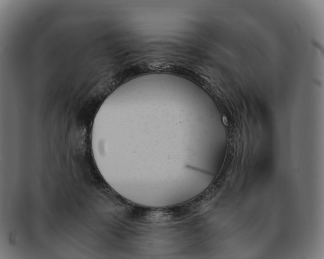 X0000091660319200709131515