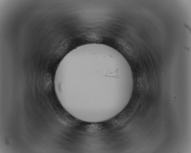 X0000091660320200709131515