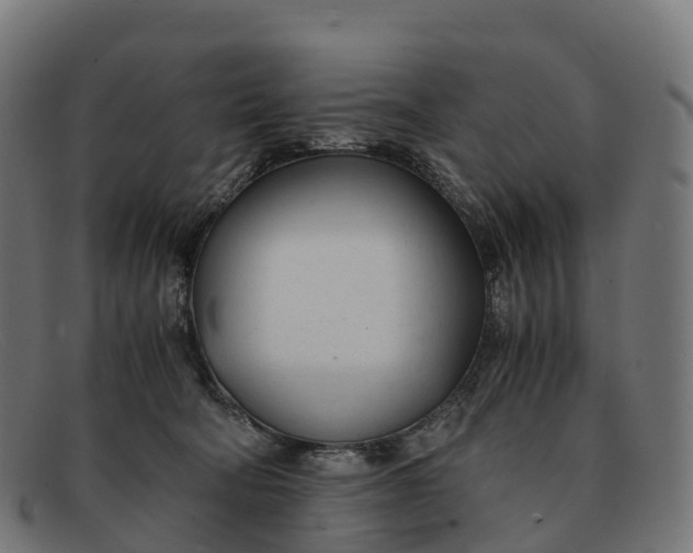 X0000091660322200709131514