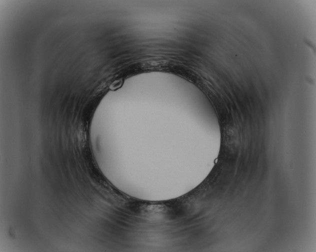 X0000091660324200709131514