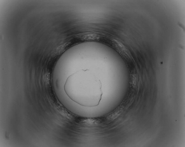 X0000091660326200709131514