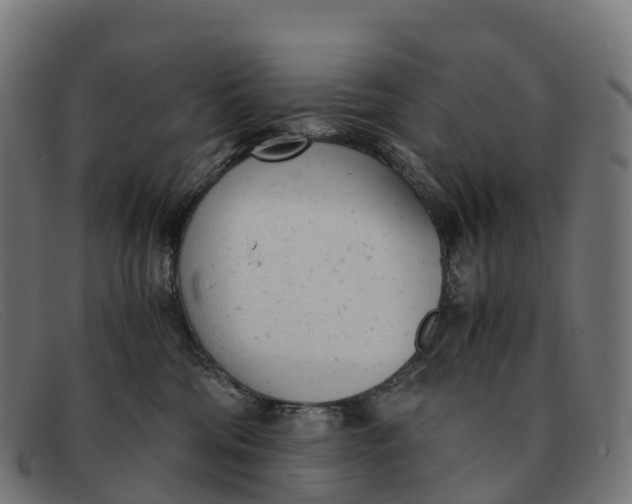 X0000091660330200709131514