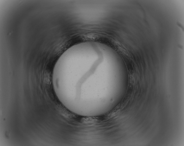 X0000091660331200709131514