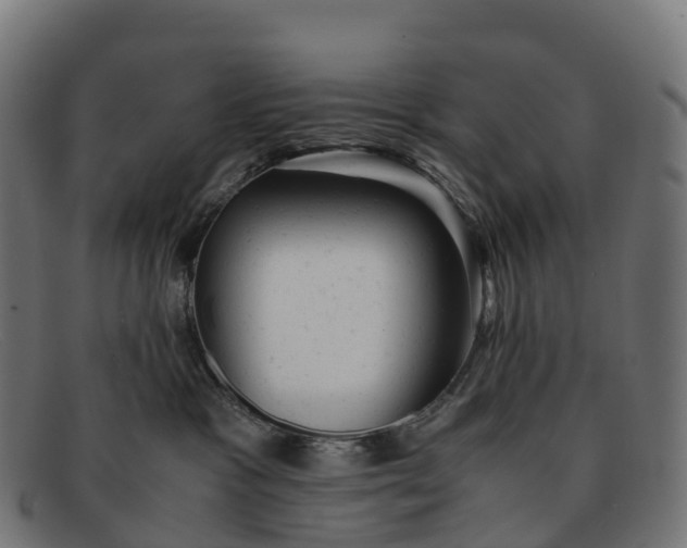 X0000091660333200709131514