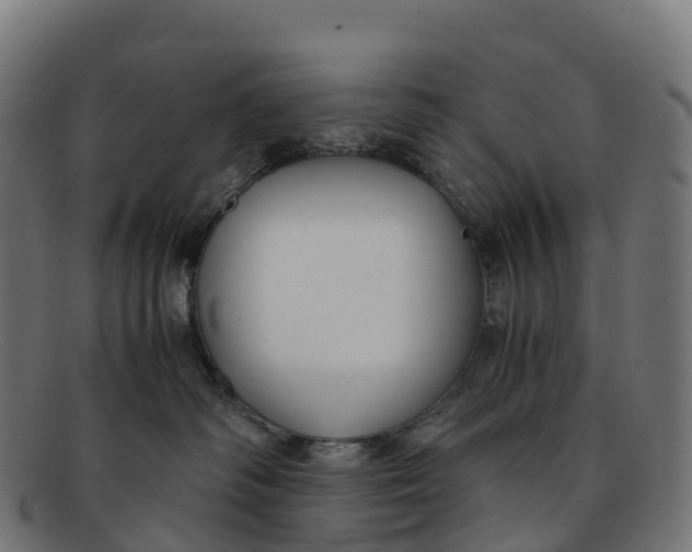 X0000091660334200709131514