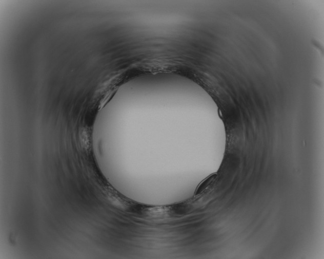 X0000091660335200709131514