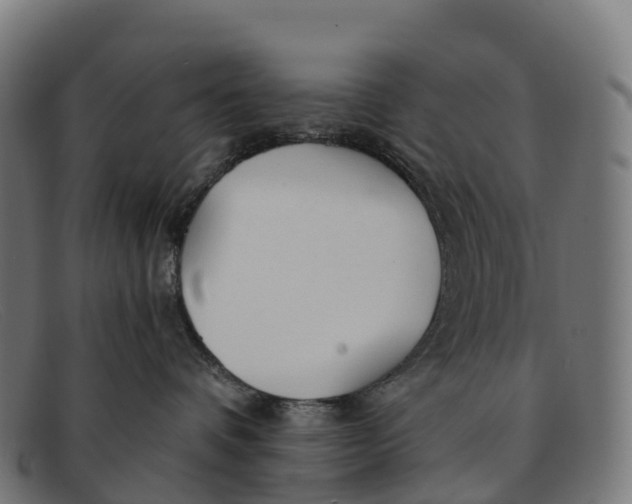 X0000091660336200709131514