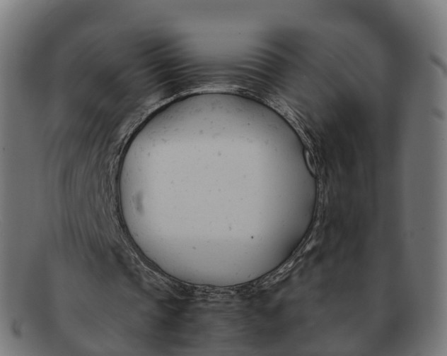 X0000091660337200709131514