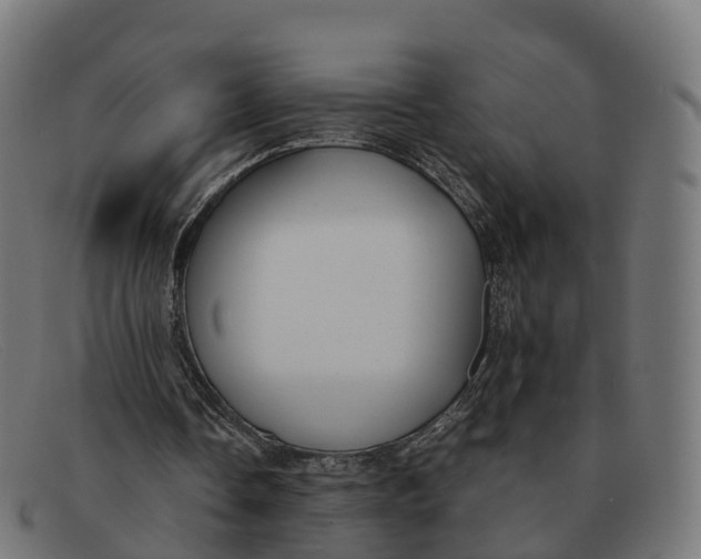 X0000091660338200709131514