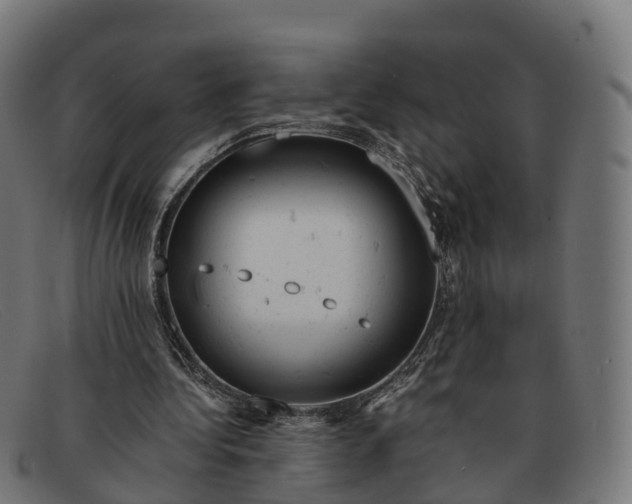 X0000091660340200709131514