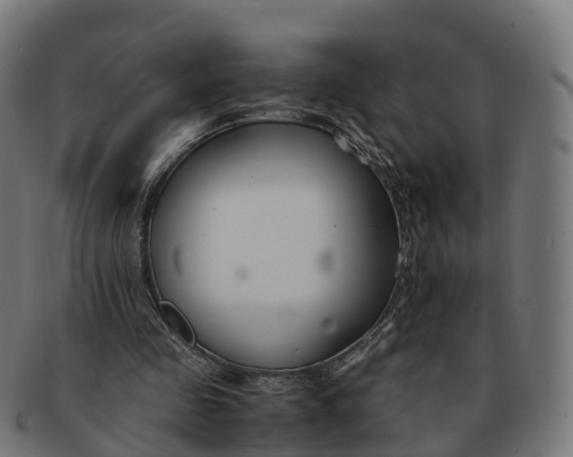 X0000091660341200709131514