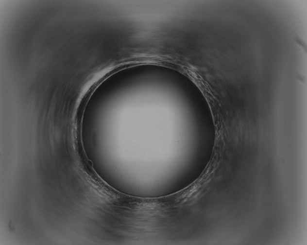 X0000091660342200709131514