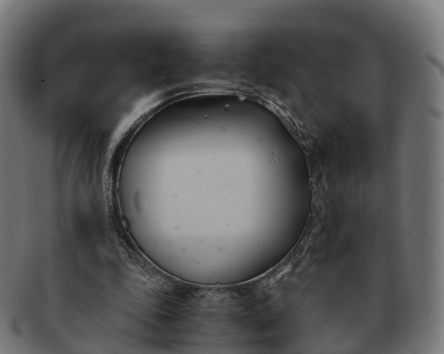 X0000091660343200709131514