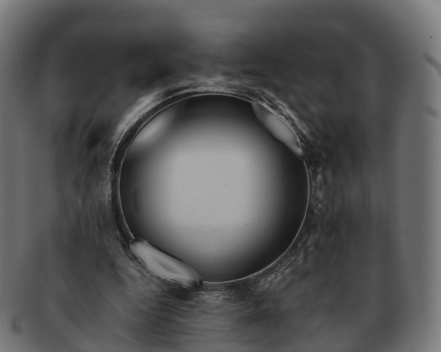 X0000091660344200709131514