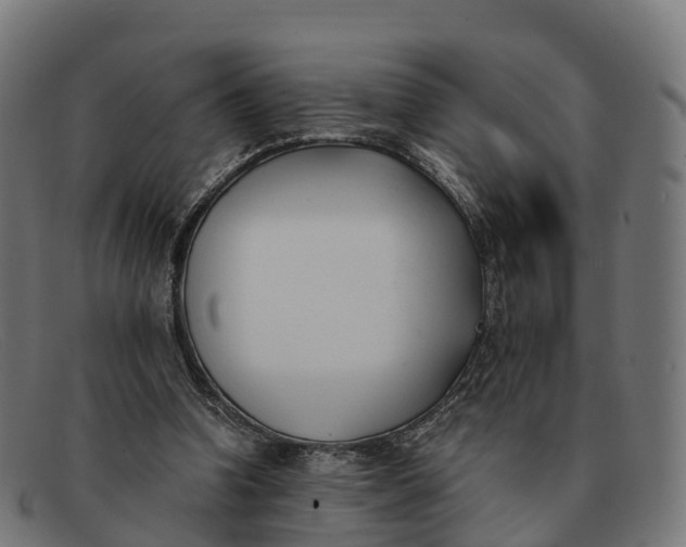 X0000091660346200709131514