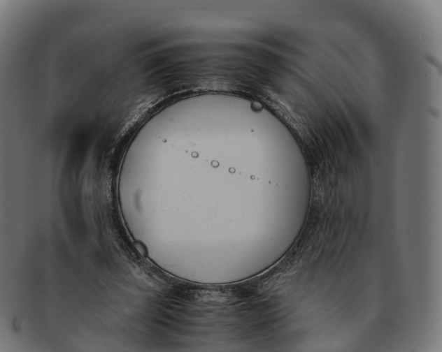 X0000091660347200709131514