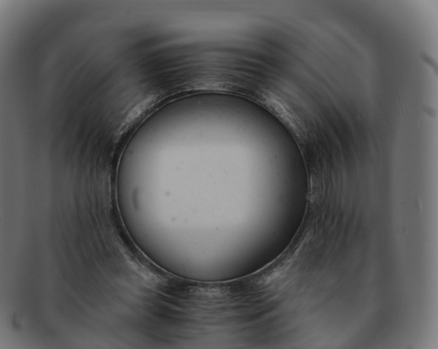 X0000091660349200709131514