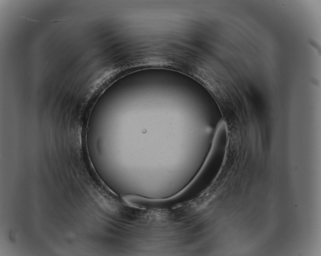 X0000091660350200709131514